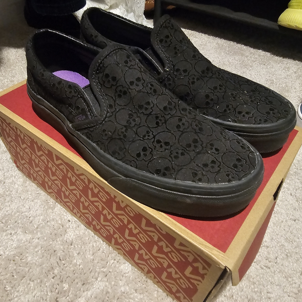 Vans Black Skull Slip-On Shoes